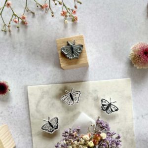 Schmetterlinge in verschiedenen Ausführungen und Größen
