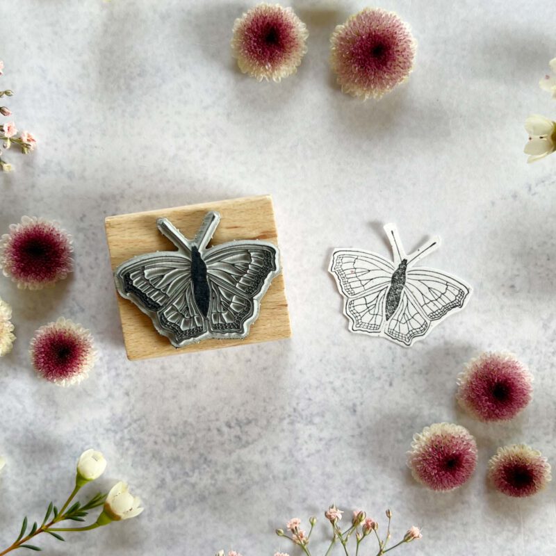 Schmetterlinge in verschiedenen Ausführungen und Größen